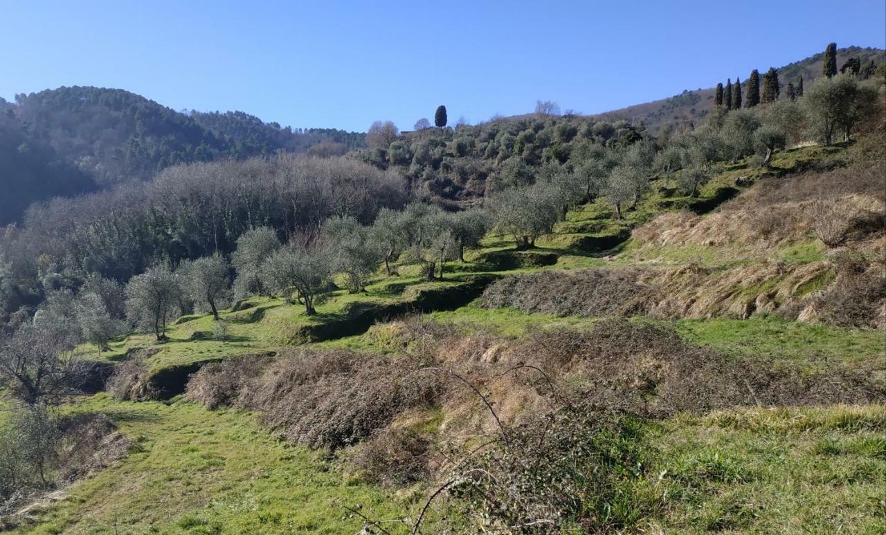 דירות לוקה Il Silenzio מראה חיצוני תמונה